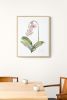 Orchid No. 9 : Original Watercolor Painting | Paintings by Elizabeth Becker. Item composed of paper in minimalism or contemporary style