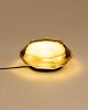 Mollusk Table Lights | Table Lamp in Lamps by Studio S II. Item made of glass works with contemporary style
