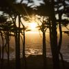 Land's End | Photography by Robert Bengtson / The Art of Detail Gallery. Item composed of metal