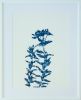 Woodland Path II: 24 x 18" unframed cyanotype painting | Mixed Media in Paintings by Christine So | Thomas Deans Fine Art in Atlanta