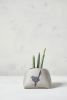 Ceramic Succulent Planter | Vases & Vessels by ShellyClayspot. Item made of stoneware