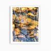 Colorful layered contemporary "Pond Layers" photograph | Photography by PappasBland. Item made of paper compatible with contemporary and country & farmhouse style