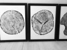Set of 3 Tree - Cedar, Mulberry, and Pine | Prints by Erik Linton. Item made of paper