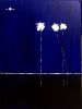 California Midnight Palms #5 | Oil And Acrylic Painting in Paintings by Dutch Montana Art | Corona Del Mar in Newport Beach. Item made of wood with canvas