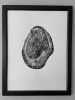 Hawaiian Mango Tree, 18x24 inches | Prints by Erik Linton. Item made of paper