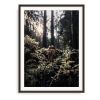 FUNGI (9"x12" - 36"x48") I PNW I Nature Print I Wall Art | Photography by Jess Ansik. Item composed of paper in boho or contemporary style
