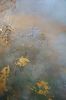 Don't Stop Seeking the Light | Oil And Acrylic Painting in Paintings by Christine Olmstead. Item made of canvas with synthetic