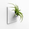Node S Wall Planter, 6" Mid Century Modern Planter, White | Plant Hanger in Plants & Landscape by Pandemic Design Studio. Item made of stoneware works with minimalism & mid century modern style