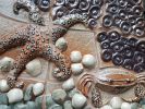 starfish and crab | Tiles by Connie Glover Pottery. Item made of stone