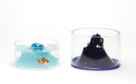 Space Mountain Fishbowl | Decorative Box in Decorative Objects by Esque Studio. Item made of glass