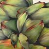 Prickly Pair | Oil And Acrylic Painting in Paintings by Cindy Mathis Murals and Fine Art. Item made of canvas & synthetic