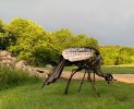 Wild Turkey Sculptures | Public Sculptures by Wendy Klemperer Art Inc | St. Louis University Henry Lay Sculpture Park in Louisiana. Item made of steel