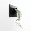 Node L Wall Planter, 12" Mid Century Modern Planter, Black | Plant Hanger in Plants & Landscape by Pandemic Design Studio. Item composed of stoneware in mid century modern or japandi style