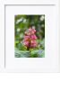 Stillness Whispers | Photography by KNOF design. Item in contemporary or country & farmhouse style