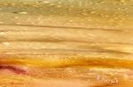 Pink Sunset | Oil And Acrylic Painting in Paintings by Kozyuk Gallery. Item made of canvas works with boho & contemporary style