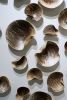 Wall Sculpture, 30 Pieces Set, Obvara Finish, Porcelain | Wall Hangings by SevaCeramics. Item composed of ceramic