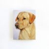 Dogs in the Cafe by Zann Hemphill | Oil And Acrylic Painting in Paintings by Paws By Zann Pet Portraits | Riso Foods in Lantzville. Item composed of canvas