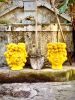 Queen and King Piana of Lemon | Vase in Vases & Vessels by Patrizia Italiano. Item composed of ceramic