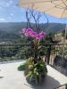 Blissful orchid arrangement | Floral Arrangements by Fleurina Designs