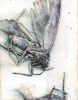 Insects | Oil And Acrylic Painting in Paintings by Rosemary Feit Covey. Item made of canvas