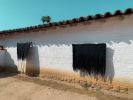 Seed No.808: Matter A | Wall Sculpture in Wall Hangings by Taiana. Item made of fabric