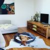 Meandering Marn Grook | Paintings by Tania Chanter