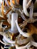 Custom Glass Antler Chandelier | Chandeliers by Anchor Bend Glassworks