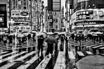 TOKYO CROSSING VII | Photography by Sven Pfrommer. Item composed of aluminum in asian style