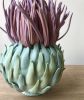 Untitled Plant 02 | Sculptures by Renee's Ceramics