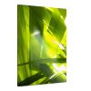 Sunkissed_3607  --  the life-giving energy of nature | Prints in Paintings by Petra Trimmel. Item made of canvas & paper