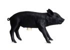 Bank in the Form of a Pig | Ornament in Decorative Objects by Harry Allen Design. Item composed of stoneware compatible with contemporary style