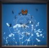 Archive Meadow Boxes | Mixed Media by Jessica Albarn
