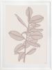 Rubbery Leaf - 1 & 2 - Stone - Framed Art | Prints by Patricia Braune. Item composed of paper
