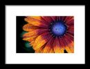 Colors Inside Framed Print | Photography by Vanessa Thomas. Item made of paper