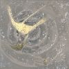 Stingrays_2 | Mixed Media by Janine Lambers, Gold. Item in transitional style