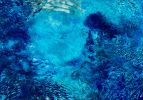 Living Oceans • TONGA CAVE 2 | Oil And Acrylic Painting in Paintings by Betty Jo Costanzo. Item composed of wood in contemporary or coastal style