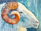 Resilient Ram | Oil And Acrylic Painting in Paintings by Catherine Twomey