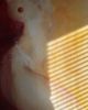 Subtle Differences | Paintings by Eve Devore | New York in New York