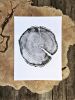 Uinta Mountains Tree Ring Print | Prints by Erik Linton. Item composed of paper