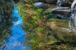 Water Reflections | Prints by Connie Villa. Item composed of paper