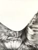 Flow | Drawings by Russ Snedker. Item composed of paper