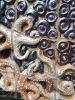 Starfish and anemones | Wall Sculpture in Wall Hangings by Connie Glover Pottery. Item composed of stoneware