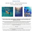 Gabriel Fine Arts, London. 'Underwater Worlds' Group Exhibition. 5 International Artists. | Oil And Acrylic Painting in Paintings by Margaret Juul | London in London. Item made of synthetic