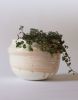 RWH-75 | Vase in Vases & Vessels by Rosa Wiland Holmes. Item made of ceramic