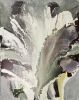 Splaying | Oil And Acrylic Painting in Paintings by Barbara Rubenstein. Item composed of canvas