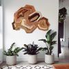 Wall Art - To follow a cloud | Wall Sculpture in Wall Hangings by Alexandra Cicorschi. Item composed of maple wood