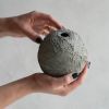 Sphere Bud Vase in Textured Dove Grey Concrete | Vases & Vessels by Carolyn Powers Designs. Item made of concrete with glass works with contemporary & japandi style