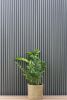Twix® | Tiles by Déco