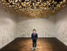 Gold Rush | Sculptures by Carson Fox Studio | Linda Warren Gallery, North Aberdeen Street, Chicago, IL in Chicago. Item composed of synthetic