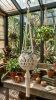 Macrame Plant Hanger | (Fits 8-14 inch pots) | Plants & Landscape by macramestories. Item made of cotton works with boho & country & farmhouse style